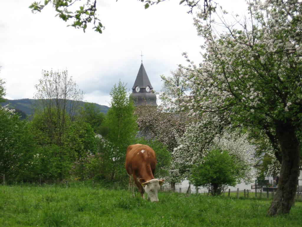 Ferienwohnung Moos-Hochsauerland Wiemeringhausen الغرفة الصورة