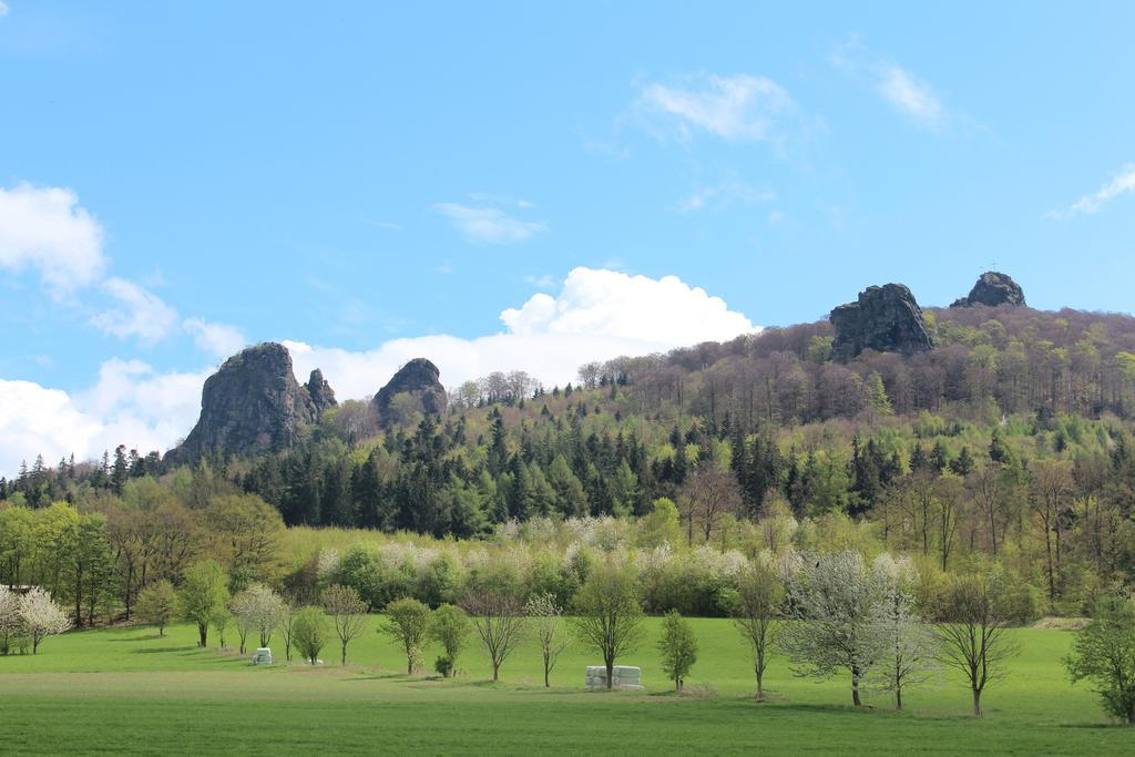 Ferienwohnung Moos-Hochsauerland Wiemeringhausen الغرفة الصورة