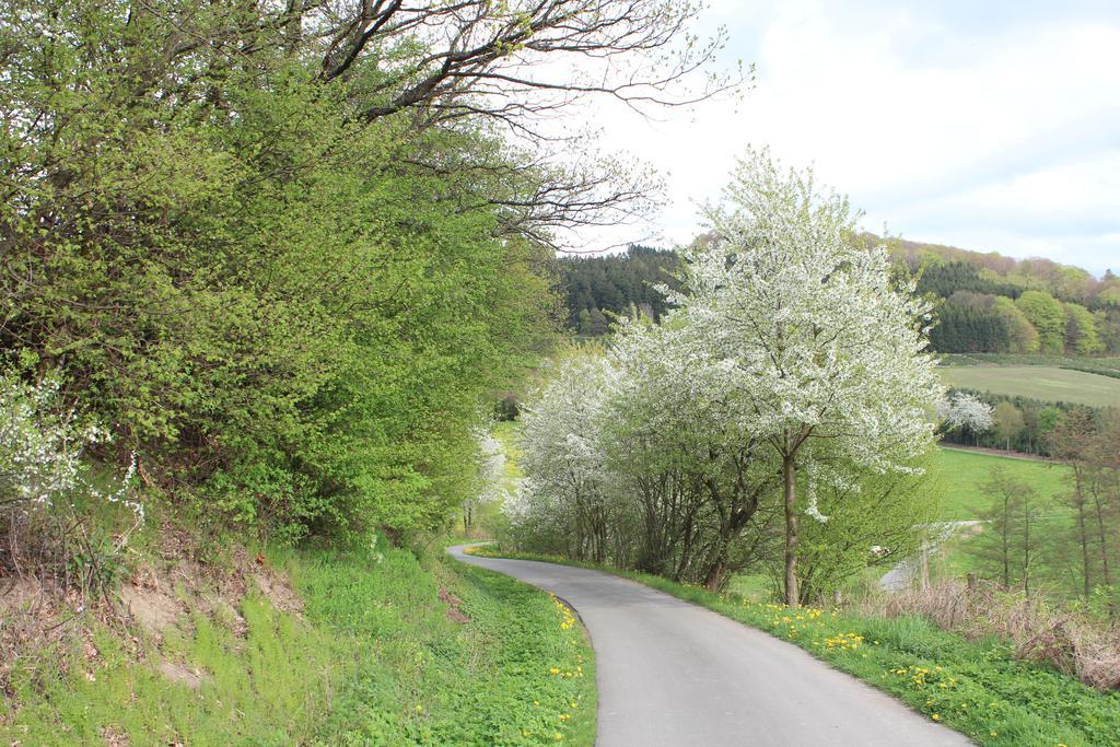 Ferienwohnung Moos-Hochsauerland Wiemeringhausen الغرفة الصورة